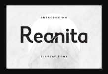 Reanita Font Reanita Font Poster 1