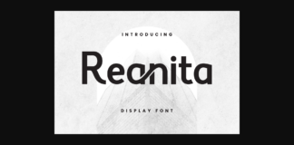 Reanita Font Poster 1