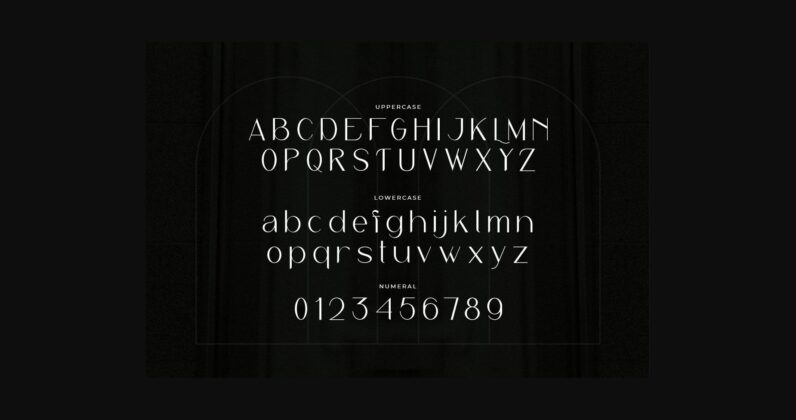 Reaste Elegant Font Poster 4
