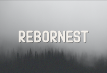 Rebornest Font Poster 1