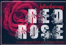 Red Rose Font Poster 1