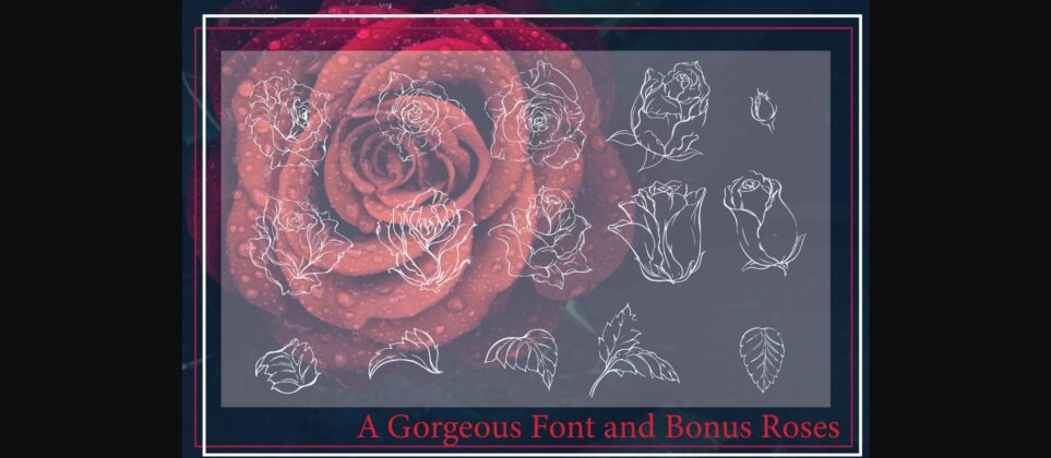 Red Rose Font Poster 6
