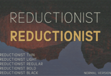 Reductionist Font Poster 1
