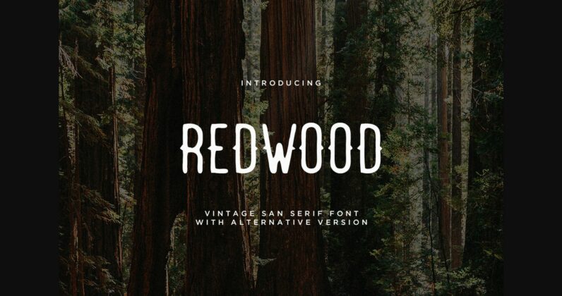 Redwood Font Poster 3