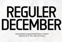 Reguler December Font Poster 1