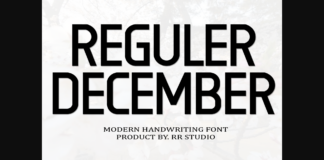 Reguler December Font Poster 1
