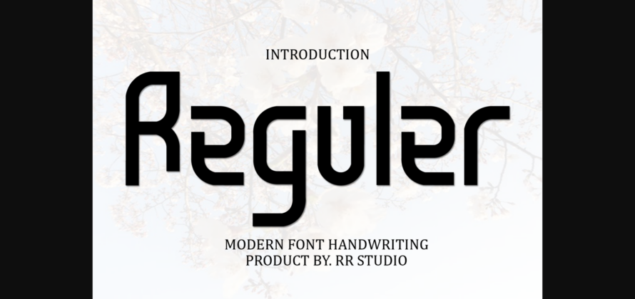 Reguler Font Poster 1