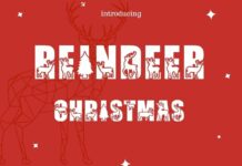 Reindeer Christmas Font Poster 1