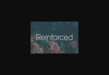 Reinforced Font Poster 1