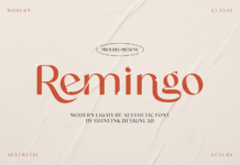 Remingo Font Remingo Font Poster 1