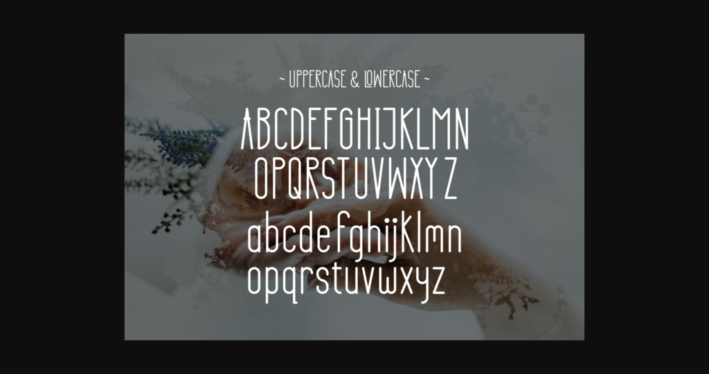 Renita Font Poster 8