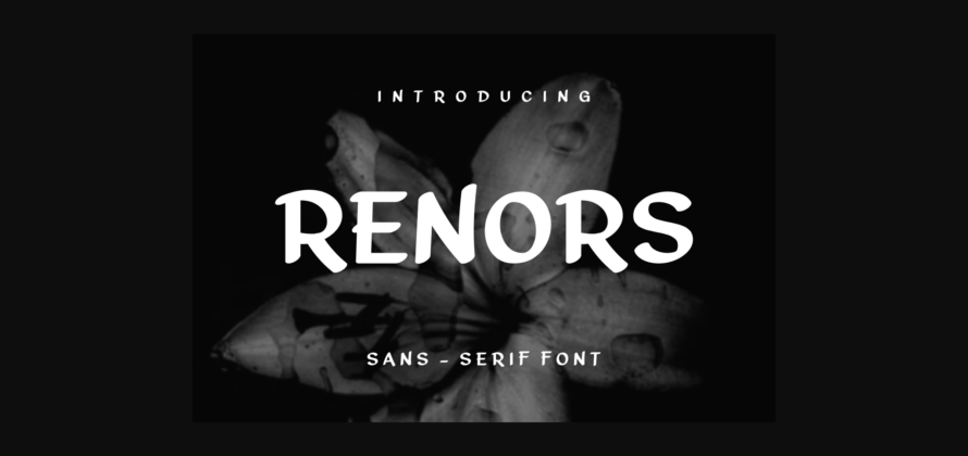 Renors Font Poster 3