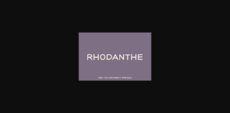 Rhodanthe Font Poster 1