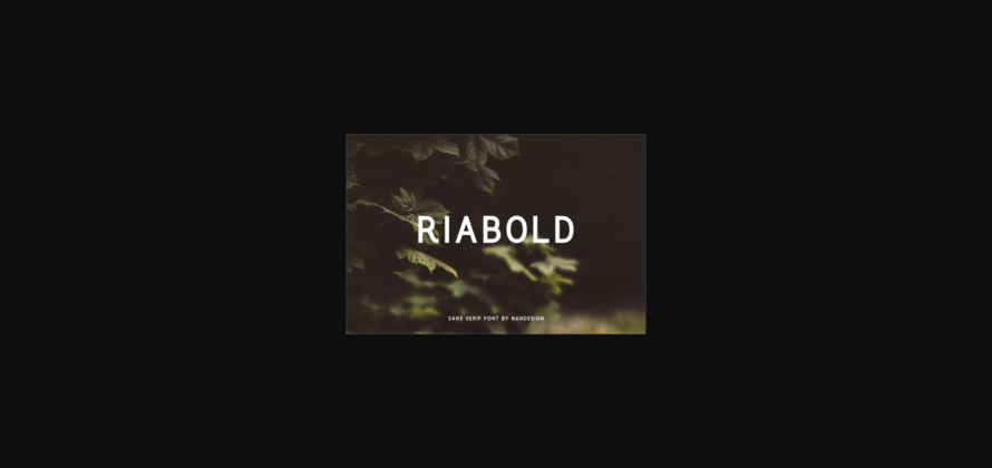 Riabold Font Poster 3