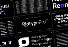 Ridtype Pro Font Poster 1