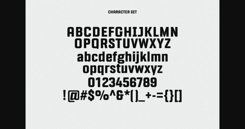 Riegal Font Poster 10