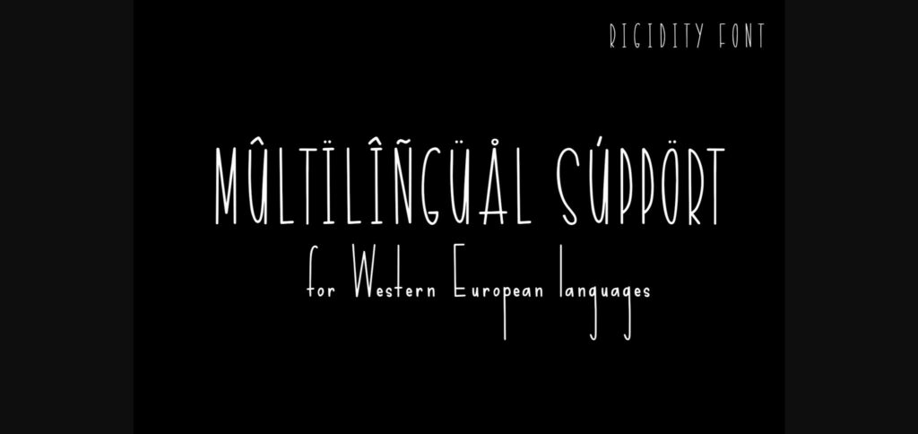 Rigidity Font Poster 11