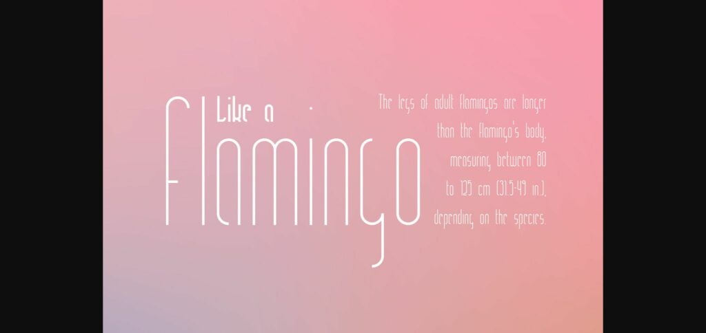 Ring Legs Font Poster 5