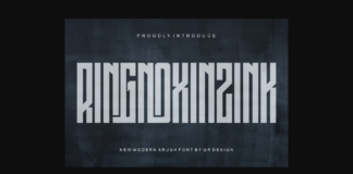 Ringnoxinzink Font Poster 1