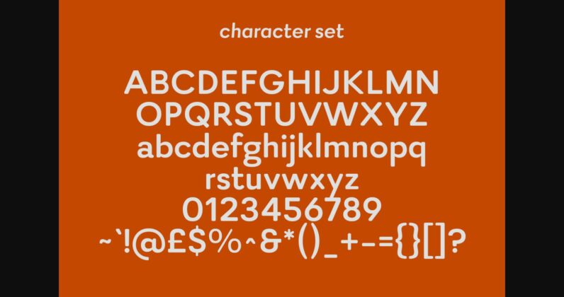 Rinkart Font Poster 10