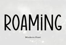 Roaming Font Poster 1