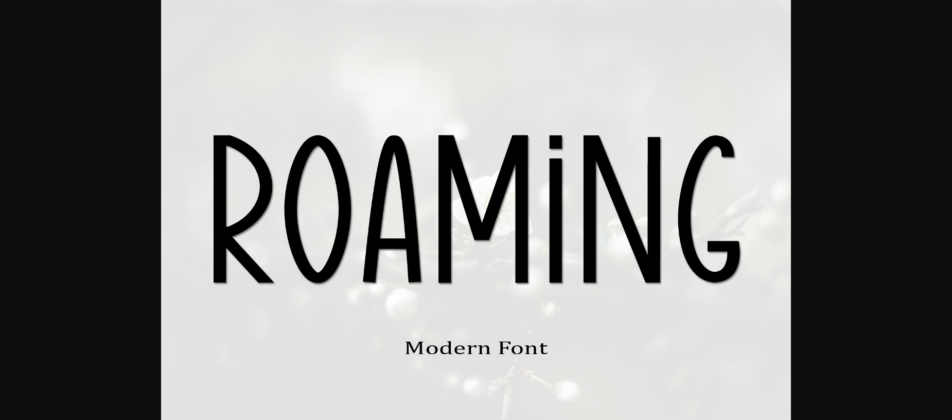 Roaming Font Poster 1