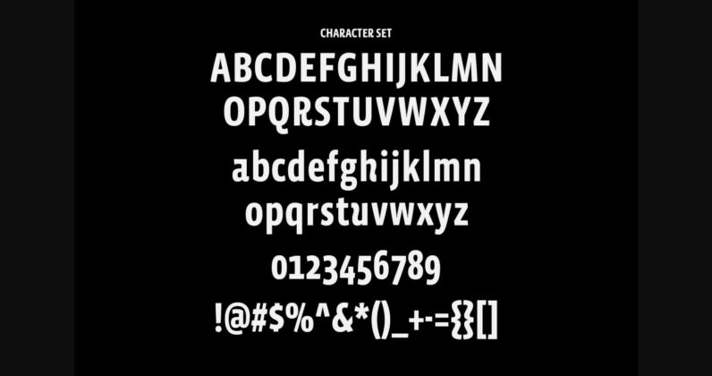 Roater Font Poster 10