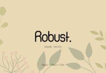 Robust Font Poster 1