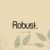 Robust Font