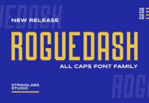 Roguedash Font Poster 1