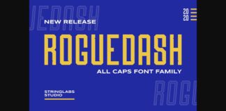 Roguedash Font Poster 1