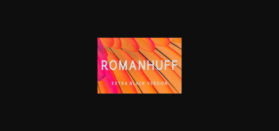 Romanhuff Extra Black Font Poster 3