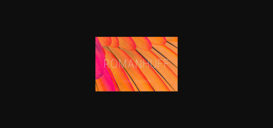 Romanhuff Thin Font Poster 3