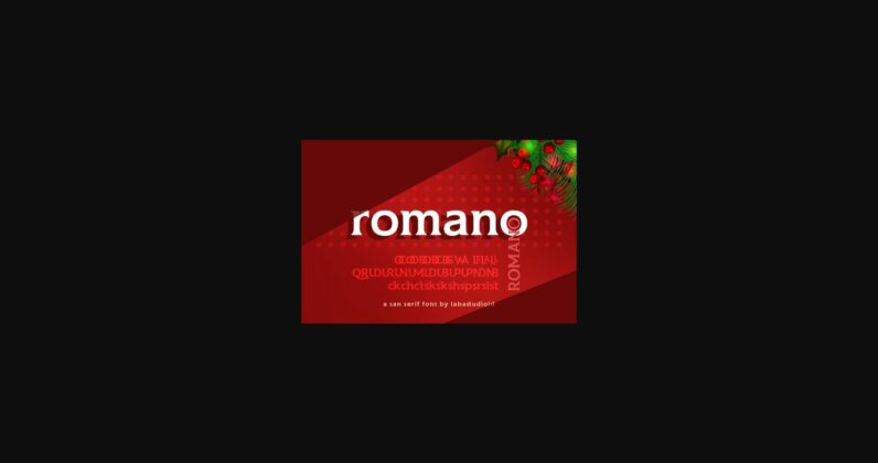 Romano Font Poster 9