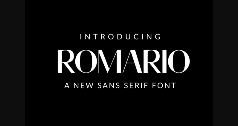 Romario Font Poster 3
