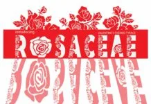 Rosaceae Font Rosaceae Font Poster 1