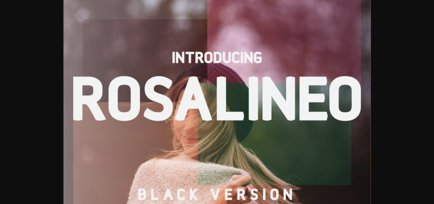 Rosalineo Black Font Poster 3