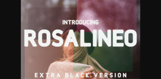 Rosalineo Extra-Black Font Poster 1