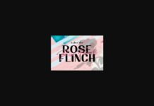 Rose Flinch Font Poster 1