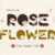 Rose Flower Font