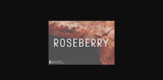 Roseberry Font Poster 1