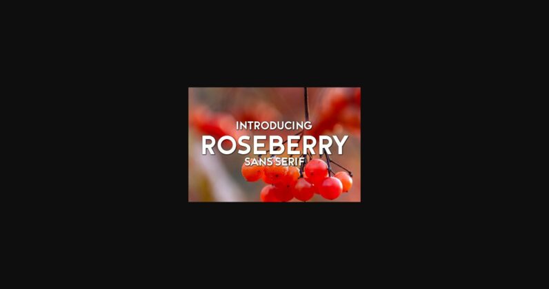 Roseberry Font Poster 3