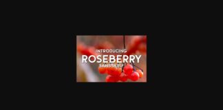 Roseberry Font Poster 1