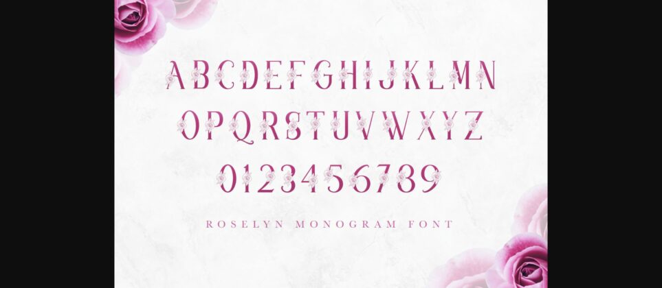 Roselyn Font Poster 7