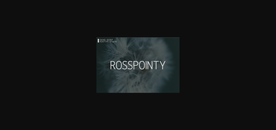 Rosspointy Font Poster 3