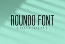 Roundo Font Poster 1