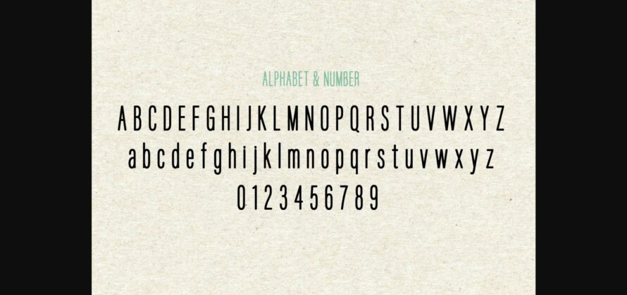 Roundo Font Poster 5