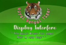 Royal Bengal Tiger Font Poster 1