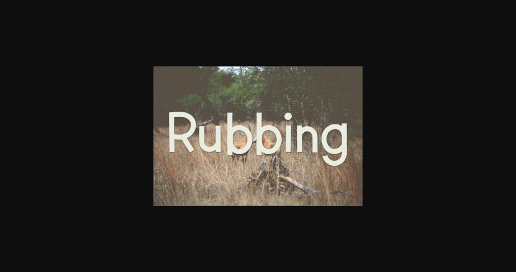 Rubbing Font Poster 3