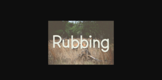 Rubbing Font Poster 1